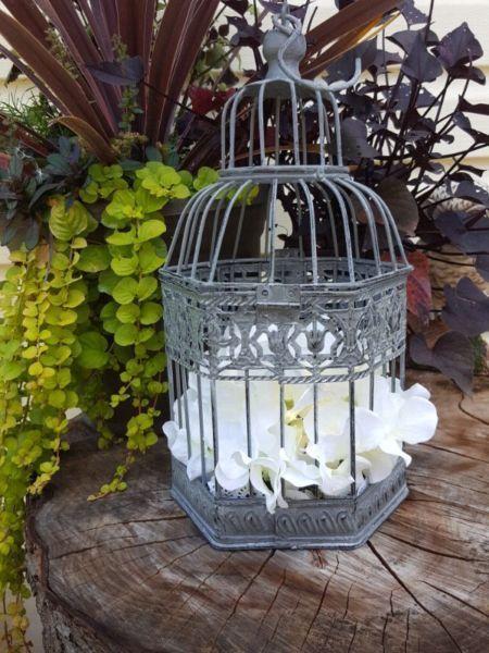 Bird cages - various sizes