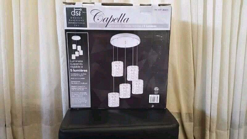 Capella Ceiling Light Brand New