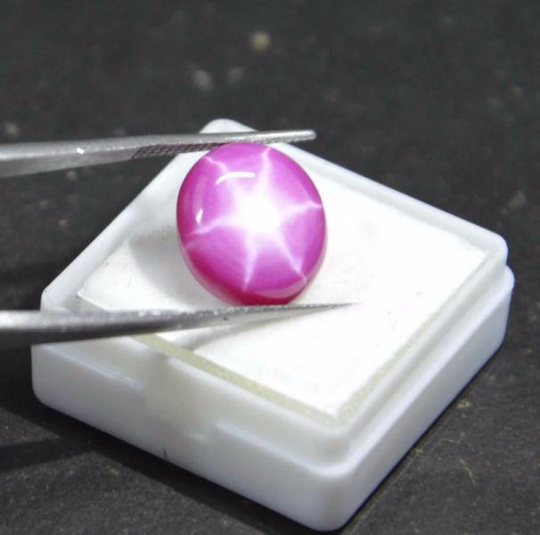 100% Natural 6 Rays Star Ruby plus Certificate of Authenticity