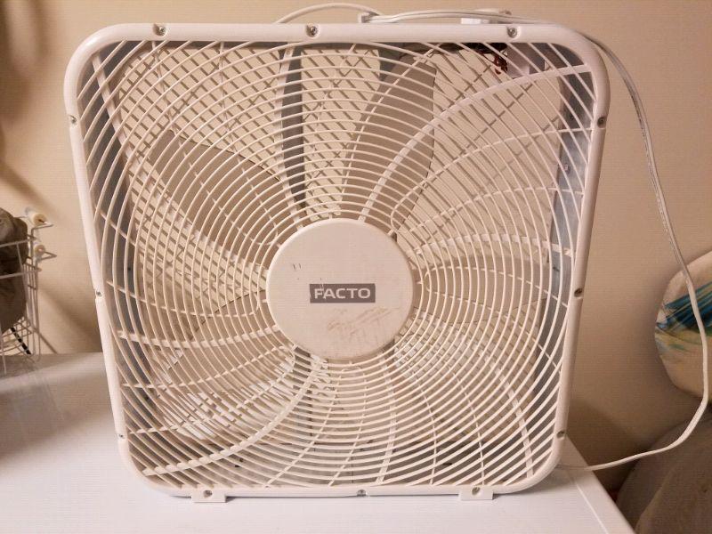 Fan