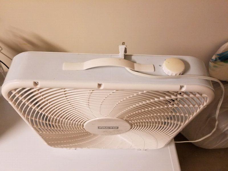 Fan