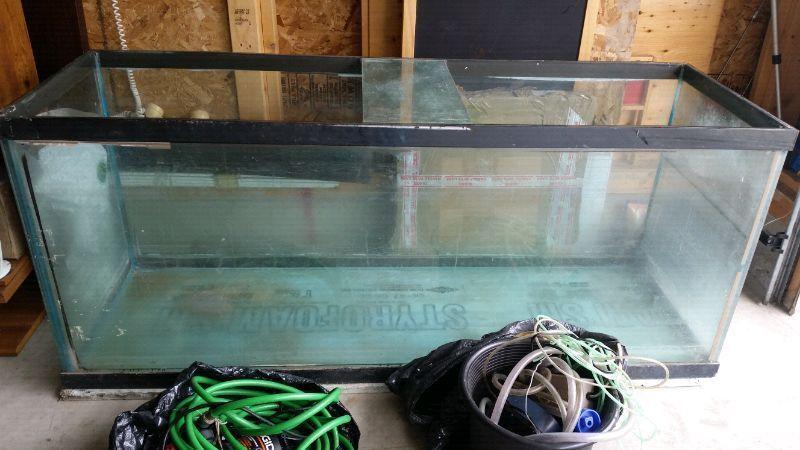Big fish tank for sale