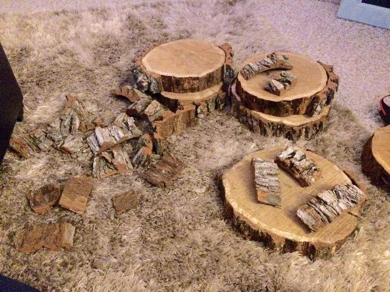 Wood slices and bark for crafts