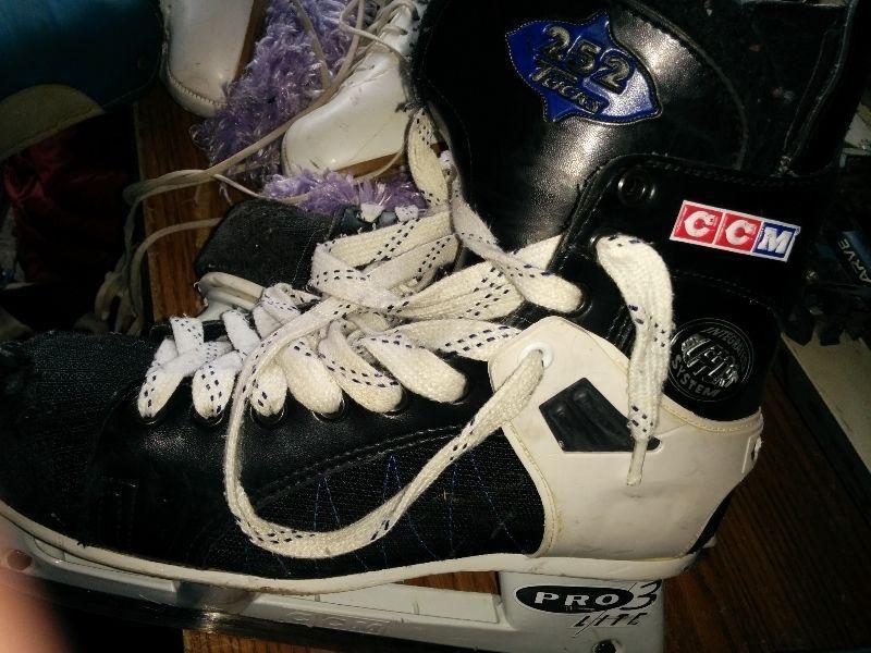 Hockey skates /bag shoulder pads /shorts /gloves /helment