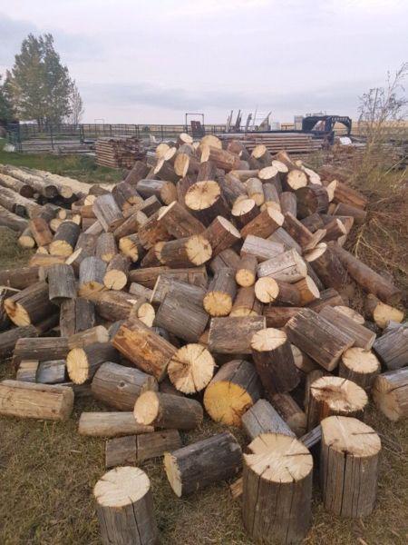 Dry, dense well seasoned firewood