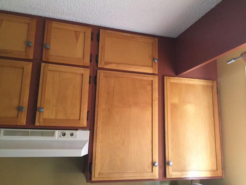 Real Wood Cabinets