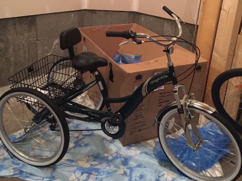 Adult Tricycle for Sale