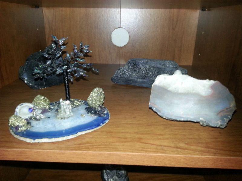 Fossils, gems and petrified wood