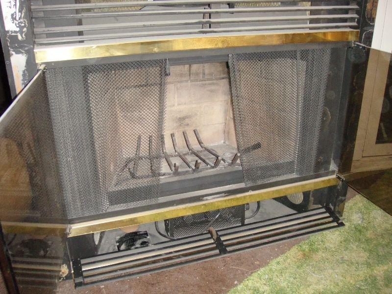 Wood burning fireplace insert