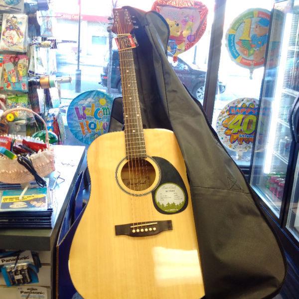 Beaver Creek guitar BCTD101 for sale