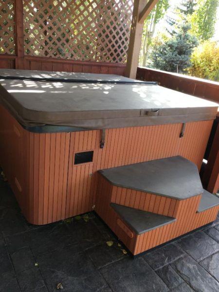 Beachcomber Hot Tub Mint Condition Model 750