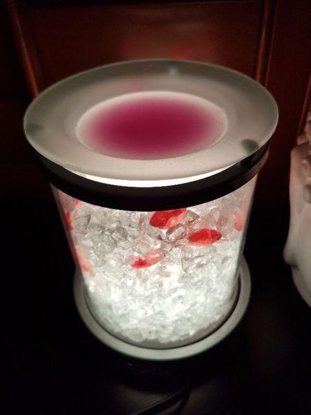 Scentsy warmers for sale!