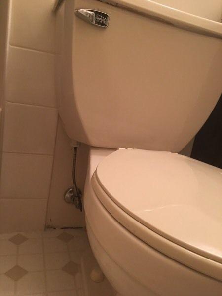 Toilet. Still in use till you BUY IT