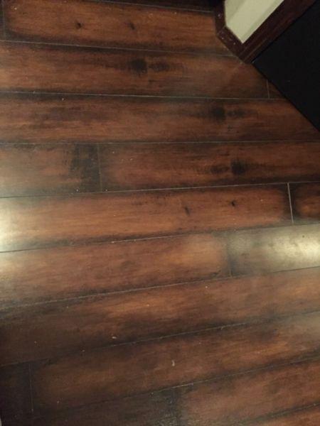 3 year old laminate flooring